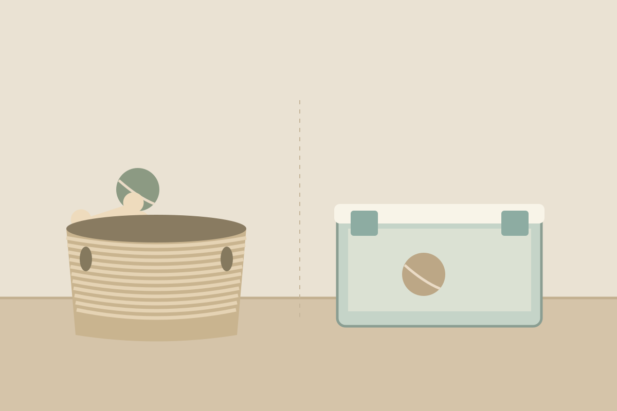 Concept illustration of dog toy storage in a small home